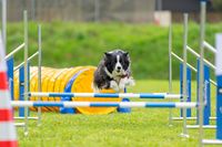 Agility 17.04.23-143